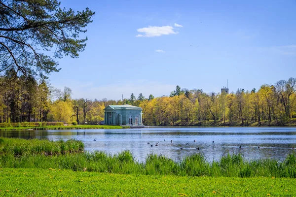 Krásná Krajina Jarního Parku Zelenými Stromy Jezero Slunečného Dne — Stock fotografie