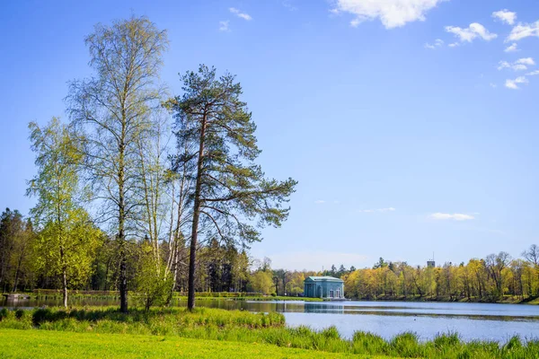 Prachtig Landschap Van Spring Park Met Groene Bomen Meer Zonnige — Stockfoto