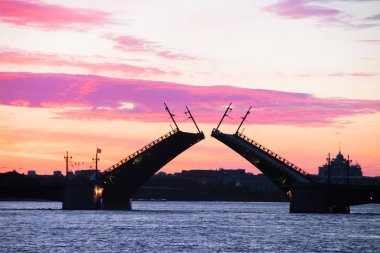 Köprüler şafakvakti St. Petersburg'da inşa edilmiştir. Peter Romance. Peter'ı görmek. Neva Nehri. Şehirde şafak vakti. Beyaz Geceler.