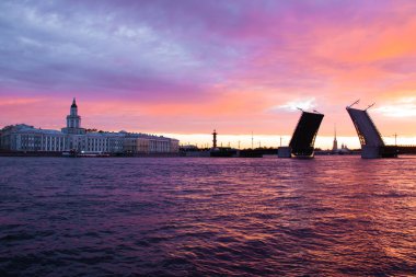 Köprüler şafakvakti St. Petersburg'da inşa edilmiştir. Peter Romance. Peter'ı görmek. Neva Nehri. Şehirde şafak vakti. Beyaz Geceler.