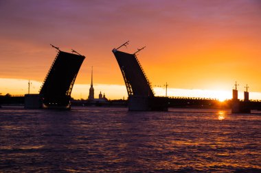 Köprüler şafakvakti St. Petersburg'da inşa edilmiştir. Peter Romance. Peter'ı görmek. Neva Nehri. Şehirde şafak vakti. Beyaz Geceler.