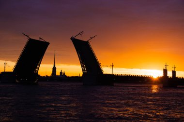 Köprüler şafakvakti St. Petersburg'da inşa edilmiştir. Peter Romance. Peter'ı görmek. Neva Nehri. Şehirde şafak vakti. Beyaz Geceler.