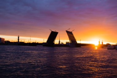 Köprüler şafakvakti St. Petersburg'da inşa edilmiştir. Peter Romance. Peter'ı görmek. Neva Nehri. Şehirde şafak vakti. Beyaz Geceler.