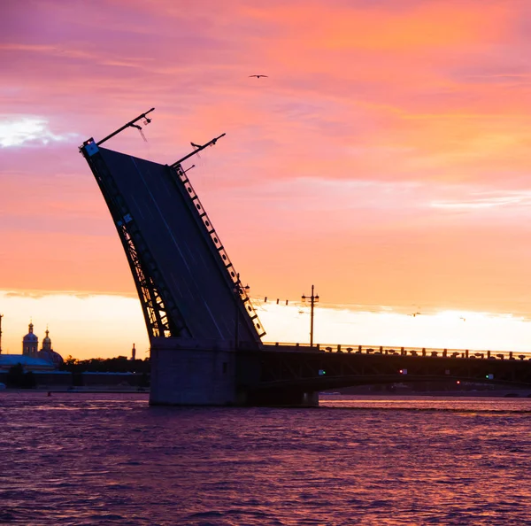 Los puentes se erigen al amanecer en San Petersburgo. Peter Romance. Vista de Peter. Río Neva. Amanecer en la ciudad. Noches blancas . — Foto de Stock