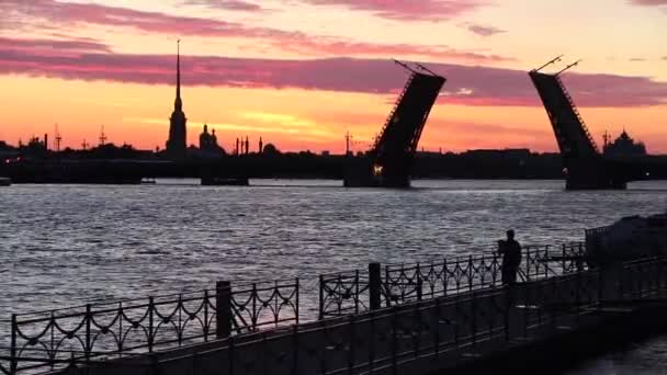 Susnset Vista Dilución Puentes Sobre Río Neva San Petersburgo Rusia — Vídeos de Stock