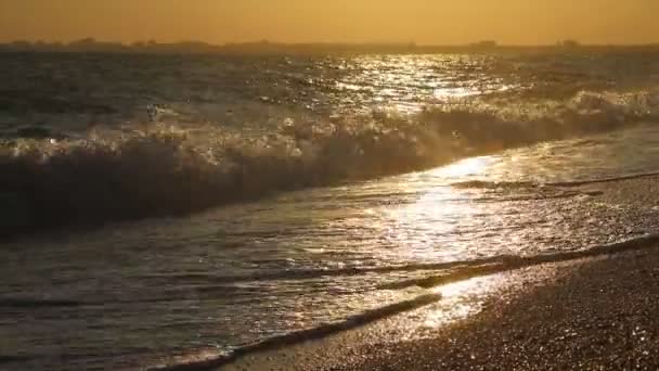 Морские волны. Крымское море. Высокие волны в ясную погоду. Штормовое предупреждение. Чистый пляж. Пляжный песок и ракушки — стоковое видео