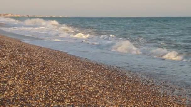 Sea waves. Sea of Crimea. High waves in clear weather. A storm warning. Clean beach. Beach sand and seashells — Stock Video