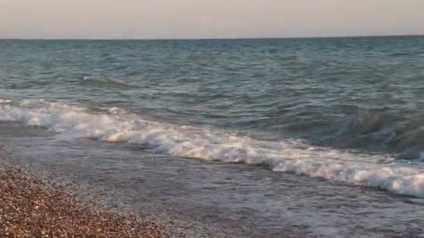 Olas marinas. Mar de Crimea. Grandes olas en tiempo despejado. Una advertencia de tormenta. Playa limpia. Playa de arena y conchas marinas — Vídeo de stock