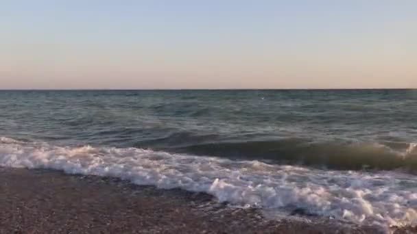 Морські хвилі. Море Криму. Високі хвилі в ясній погоди. Бурю попередження. Чистий пляж. Пляжний пісок і черепашки — стокове відео