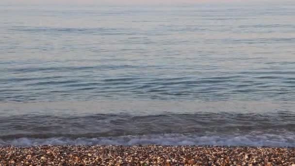 海浪克里米亚海。晴天时出现巨浪。风暴警告干净的海滩。沙滩沙和贝壳 — 图库视频影像