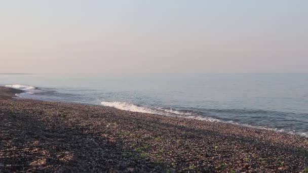 Sea waves. Sea of Crimea. High waves in clear weather. A storm warning. Clean beach. Beach sand and seashells — Stock Video