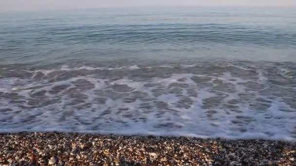 Onde marine. Mare del Crimea. Onde alte con tempo limpido. Un avvertimento temporale. Spiaggia pulita. Spiaggia di sabbia e conchiglie — Video Stock