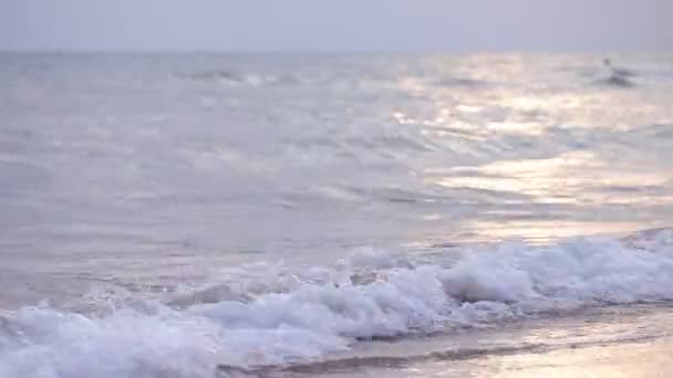 Gelombang di laut. Gelombang laut. Pantai pasir gelombang kecil. Di malam hari di pantai. .. Gelombang laut kecil dan pantai berpasir — Stok Video