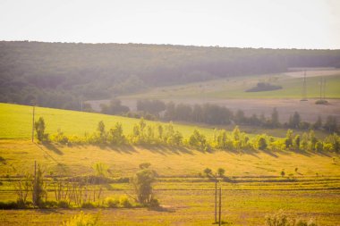 Rus açık alanlar. Alan. Yaz Rus manzaraları. Yol manzarası. Yaz peyzaj arka plan