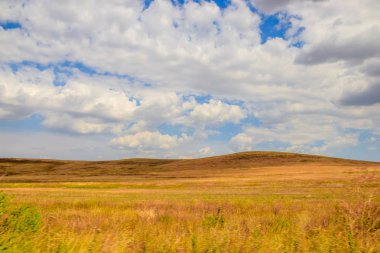 Açık alanlar. Kırım. Saha. Yaz manzaraları. Yol manzarası. Çimen ve gökyüzü. Arka plan yaz manzarası. Kırım alanları