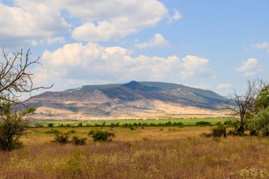 Açık alanlar. Kırım. Saha. Yaz manzaraları. Yol manzarası. Çimen ve gökyüzü. Arka plan yaz manzarası. Kırım alanları