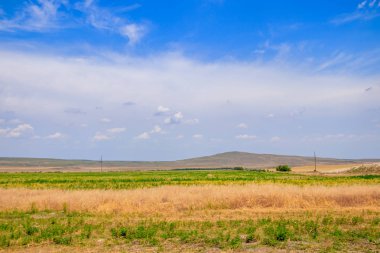 Açık alanlar. Kırım. Saha. Yaz manzaraları. Yol manzarası. Çimen ve gökyüzü. Arka plan yaz manzarası. Kırım alanları
