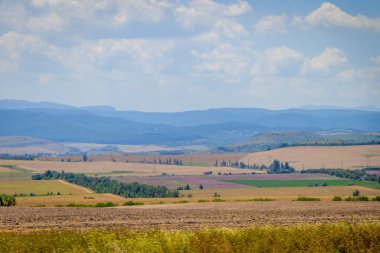 Açık alanlar. Kırım. Saha. Yaz manzaraları. Yol manzarası. Çimen ve gökyüzü. Arka plan yaz manzarası. Kırım alanları