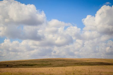 Açık alanlar. Kırım. Saha. Yaz manzaraları. Yol manzarası. Çimen ve gökyüzü. Arka plan yaz manzarası. Kırım alanları