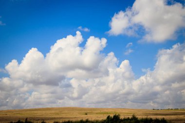 Açık alanlar. Kırım. Saha. Yaz manzaraları. Yol manzarası. Çimen ve gökyüzü. Arka plan yaz manzarası. Kırım alanları