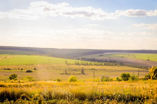 Russian open spaces. Field. Summer Russian landscapes. Road views. Summer landscape background