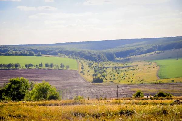 Russian open spaces. Field. Summer Russian landscapes. Road views. Summer landscape background