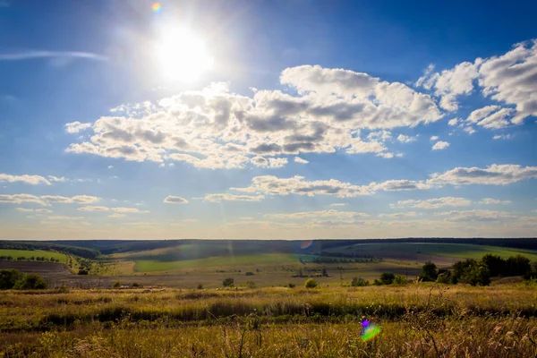Russian open spaces. Field. Summer Russian landscapes. Road views. Summer landscape background