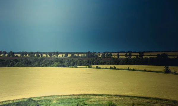 Russian open spaces. Field. Summer Russian landscapes. Road views. Summer landscape background