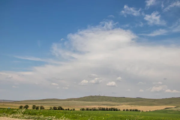 Spazi Aperti Crimea Campo Paesaggi Estivi Vista Sulla Strada Erba — Foto Stock