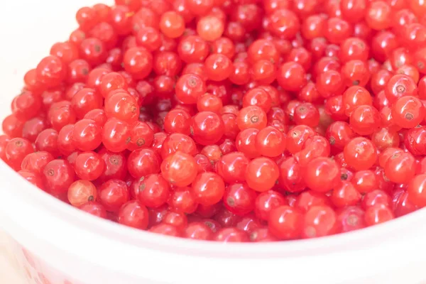 Beeren Von Roten Johannisbeeren Als Hintergrund — Stockfoto