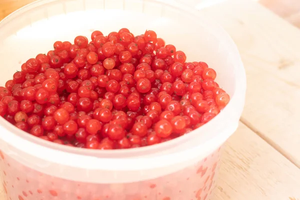 Beeren Von Roten Johannisbeeren Auf Holztisch — Stockfoto