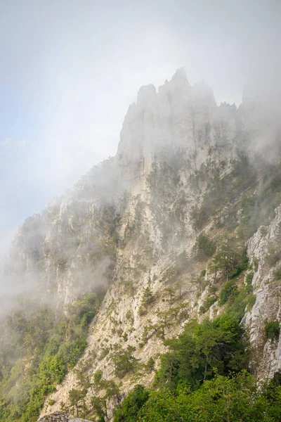 Гора Петрі Тумані Висока Гора Кримські Гори Низькі Хмари Прекрасний — стокове фото