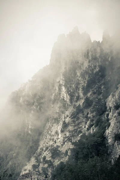 Petri Munte Ceață Înalt Munte Munţii Crimeii Nori Joşi Frumos — Fotografie, imagine de stoc