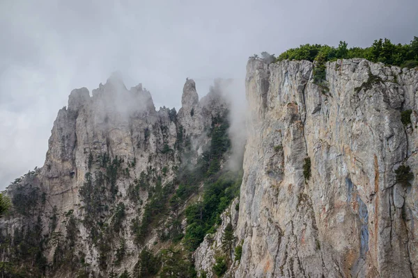 Petriho Hora Mlze Vysoká Hora Krymské Hory Nízká Nádherná Horská — Stock fotografie