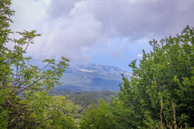 Kırım'daki Ai-Petri dağının tepesinden sihirli manzara
