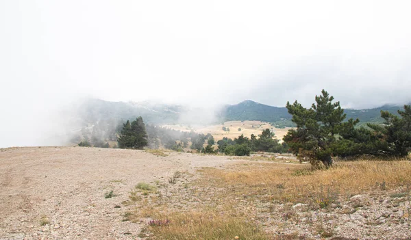 Hermoso Paisaje Montaña Con Monte Petri Niebla Crimea — Foto de Stock