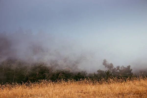 美丽的山景与艾佩特里山在雾中 克里米亚 — 图库照片
