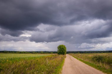 Yaz arazisi. Rus açık alanları. Fırtınadan önce. Karanlık yağmurlu gökyüzü. Yağmurdan önce arka plan Rus alan.