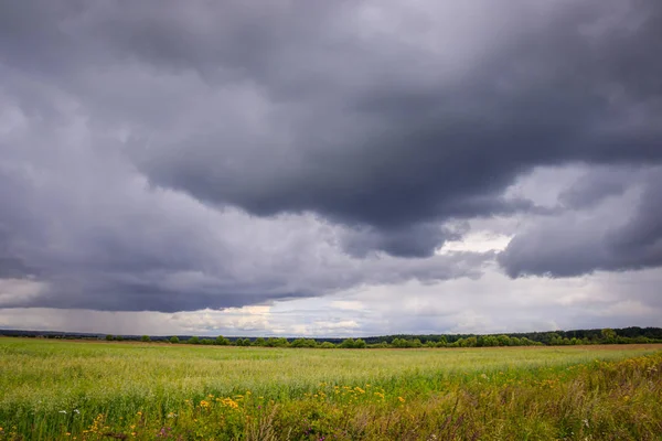 Paisagem de verão. Espaços abertos russos. Antes da tempestade. Céu escuro e chuvoso. Antecedentes Campo russo antes da chuva . — Fotografia de Stock