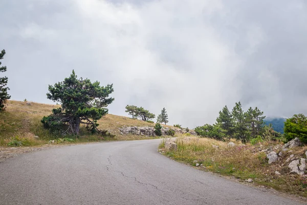 Mountain asphalt road. Mount Ai-Petri in Crimea. Climb up. Journey . Road to Ai-Petri