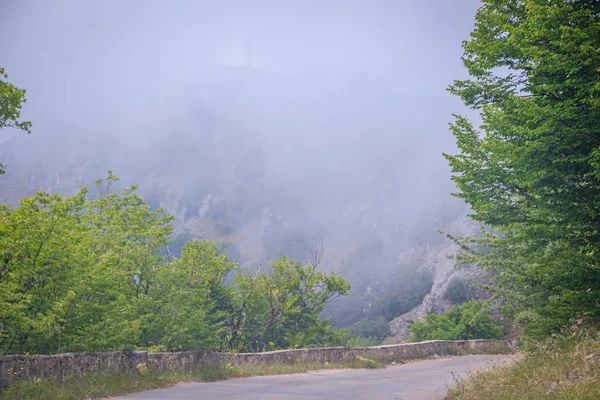 Camino Asfalto Montaña Monte Petri Crimea —  Fotos de Stock