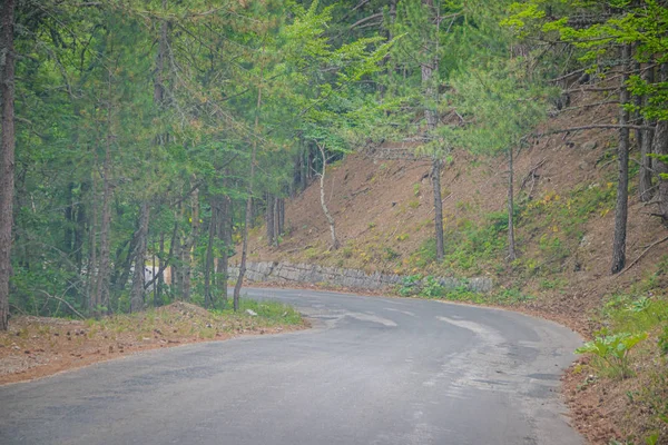 Kırım'daki Ai-Petri Dağı'na giden dağ asfaltyolu