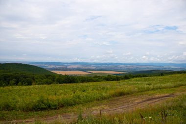 Düşük dağlar ve ağaçlar ile Alan, Anapsky ilçe, Rusya