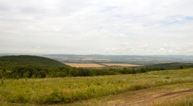 Düşük dağlar ve ağaçlar ile Alan, Anapsky ilçe, Rusya