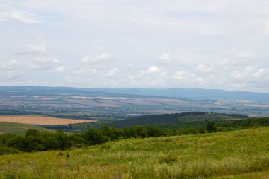 Düşük dağlar ve ağaçlar ile Alan, Anapsky ilçe, Rusya