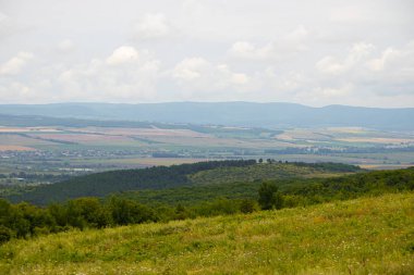 Düşük dağlar ve ağaçlar ile Alan, Anapsky ilçe, Rusya