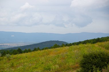 Düşük dağlar ve ağaçlar ile Alan, Anapsky ilçe, Rusya