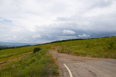 Düşük dağlar ve ağaçlar ile Alan, Anapsky ilçe, Rusya
