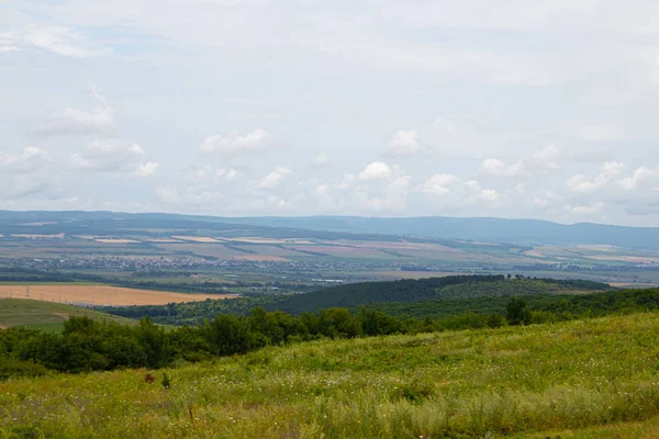 Field Low Mountains Trees Anapsky District Russia — Stock Photo, Image