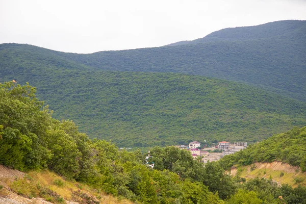 Campo Con Montañas Bajas Árboles Distrito Anapsky Rusia —  Fotos de Stock